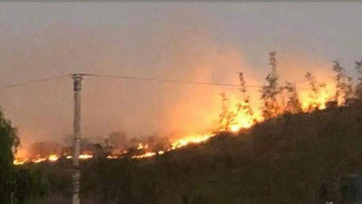 WhatsApp Image 2026-02-11 at 11.07.01 AM