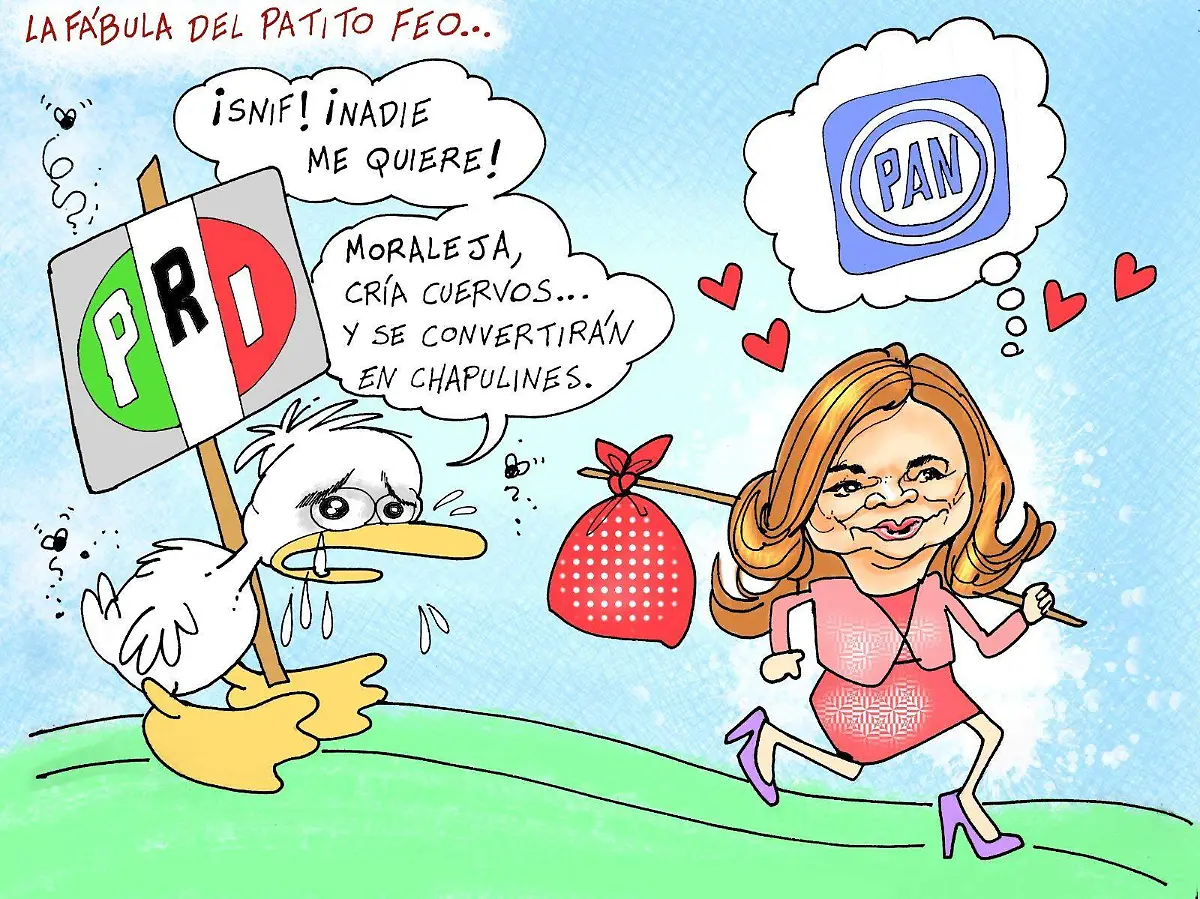 WhatsApp Image 2026-02-11 at 4.03.39 PM