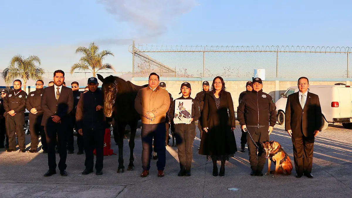 WhatsApp Image 2026-02-11 at 3.46.22 PM