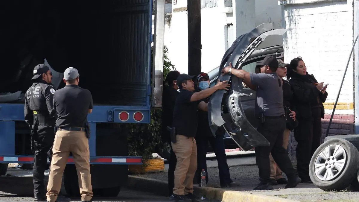 WhatsApp Image 2026-02-11 at 8.54.05 PM