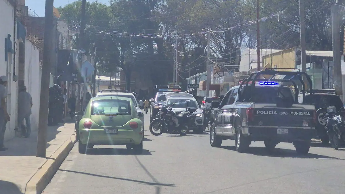 WhatsApp Image 2026-02-11 at 5.41.09 PM