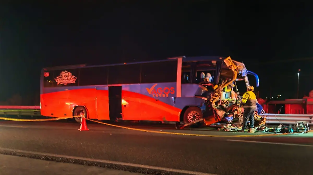 WhatsApp Image 2026-02-12 at 11.31.32 AM