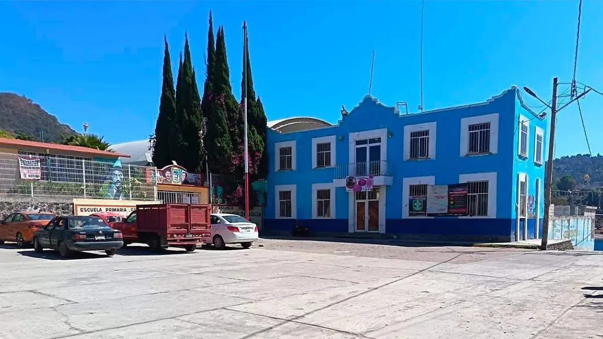 Productores de aguacate