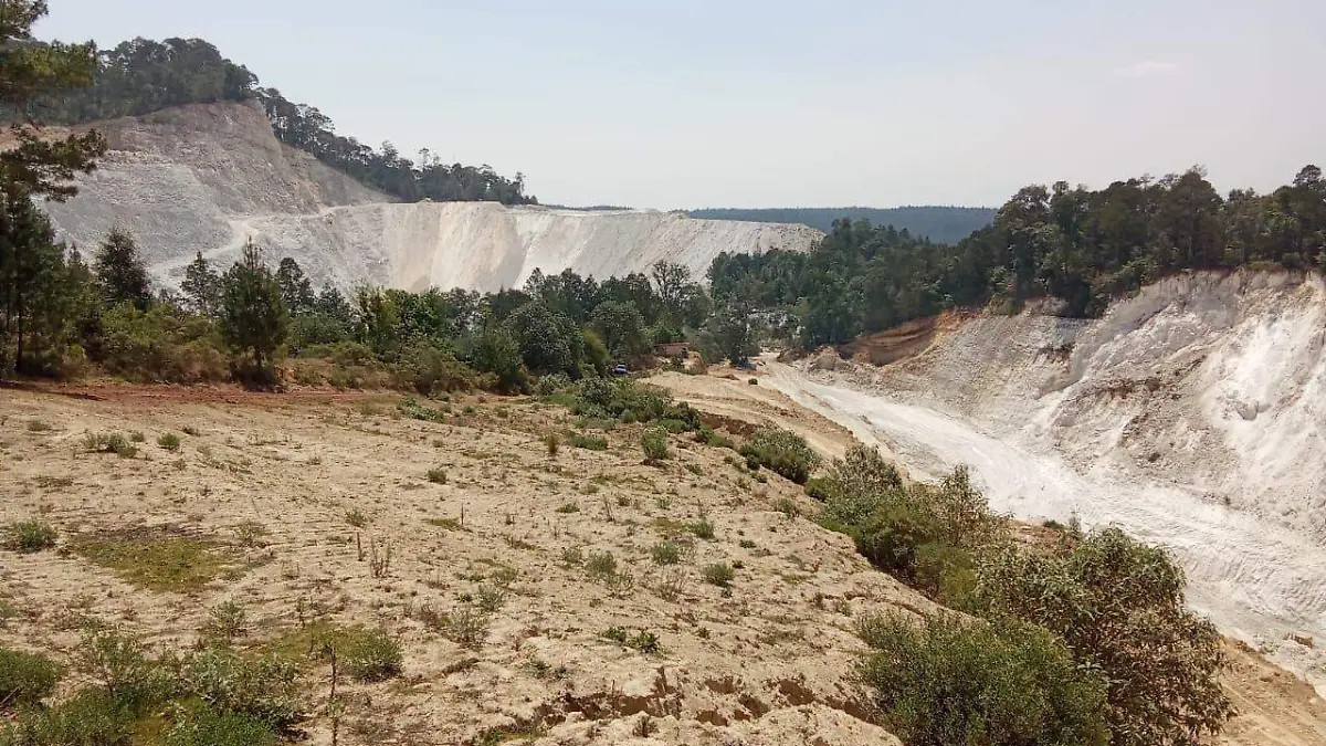 WhatsApp Image 2026-02-12 at 3.15.35 PM