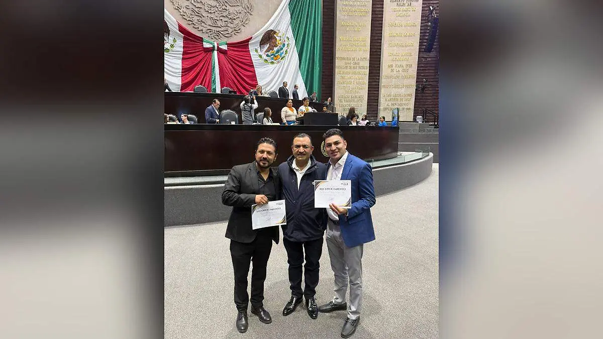 premios artistas zacatlan