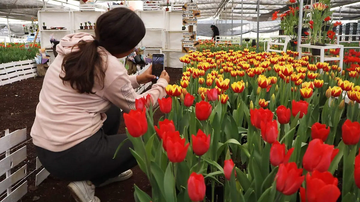 WhatsApp Image 2026-02-12 at 6.06.49 PM (1)