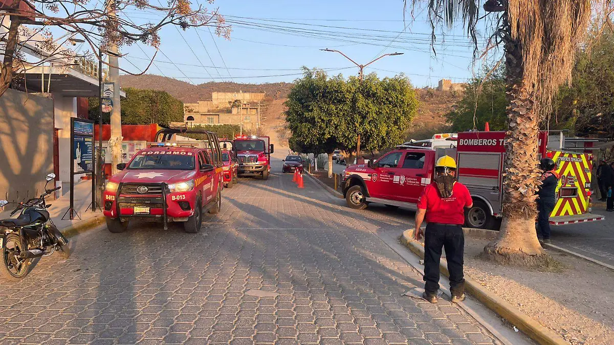 WhatsApp Image 2026-02-12 at 6.43.13 PM