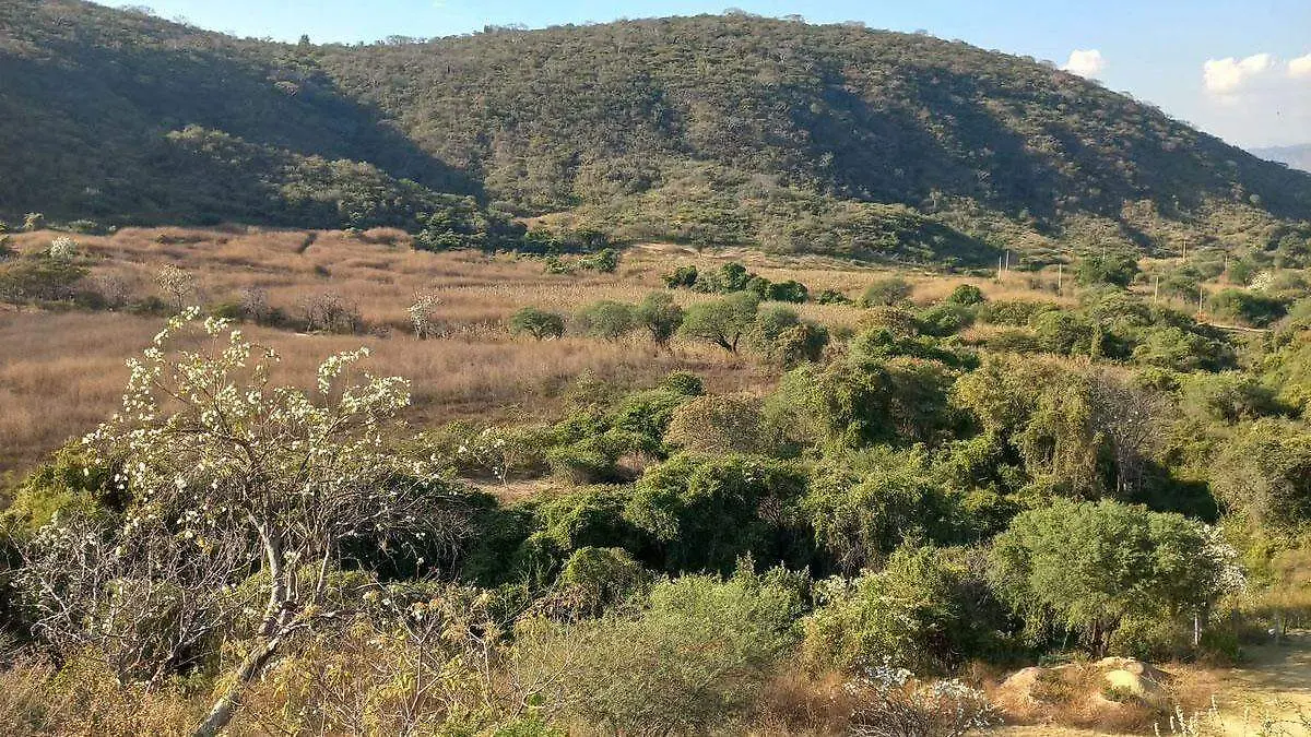 Las autoridades locales buscan fortalecer la conciencia ambiental y fomentar la participación ciudadana