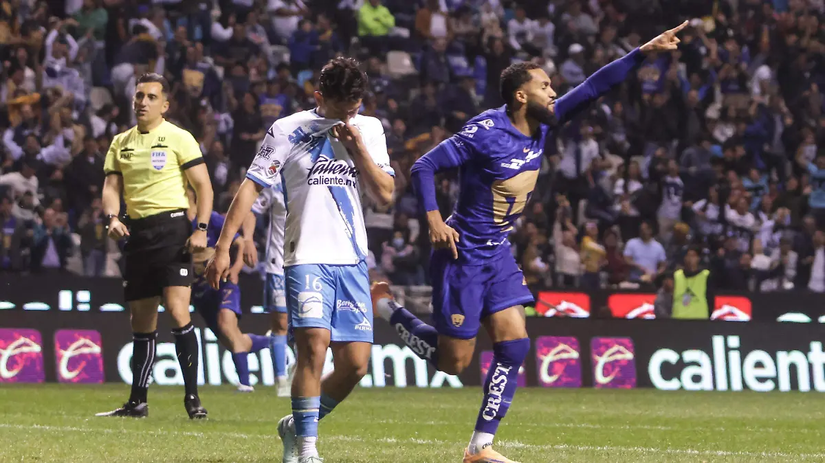 WhatsApp Image 2026-02-13 at 8.54.11 PM