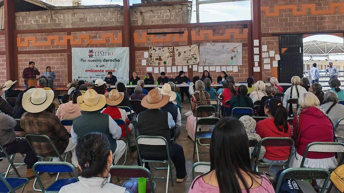 WhatsApp Image 2026-02-14 at 7.08.17 PM