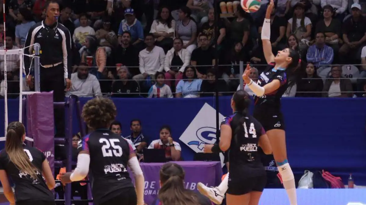 WhatsApp Image 2026-02-07 at 6.29.42 PM