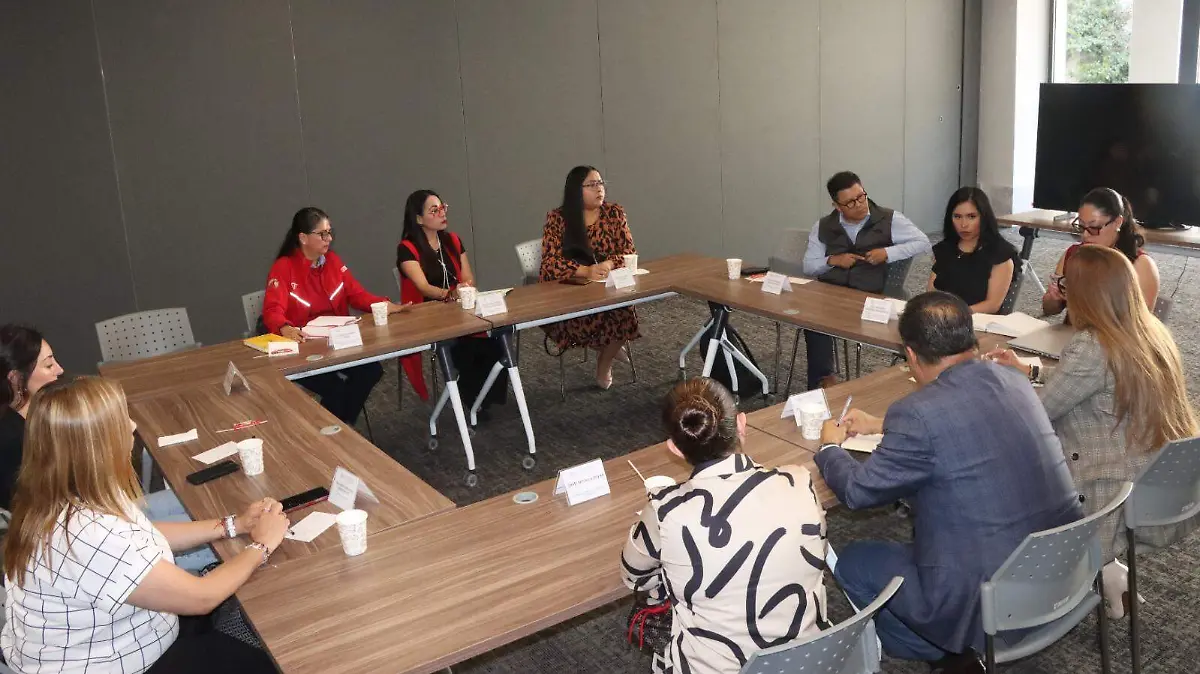 WhatsApp Image 2026-02-16 at 2.56.57 PM