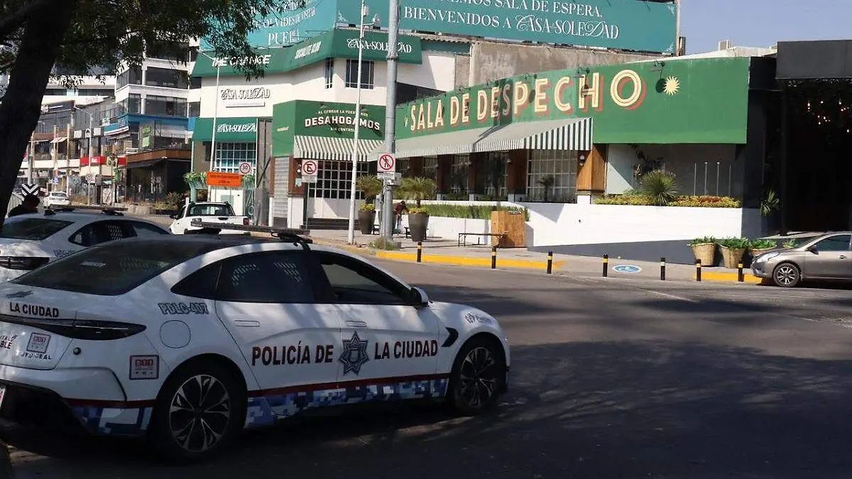 WhatsApp Image 2026-02-16 at 11.55.29 AM