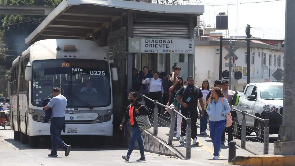 WhatsApp Image 2026-02-17 at 3.05.26 PM