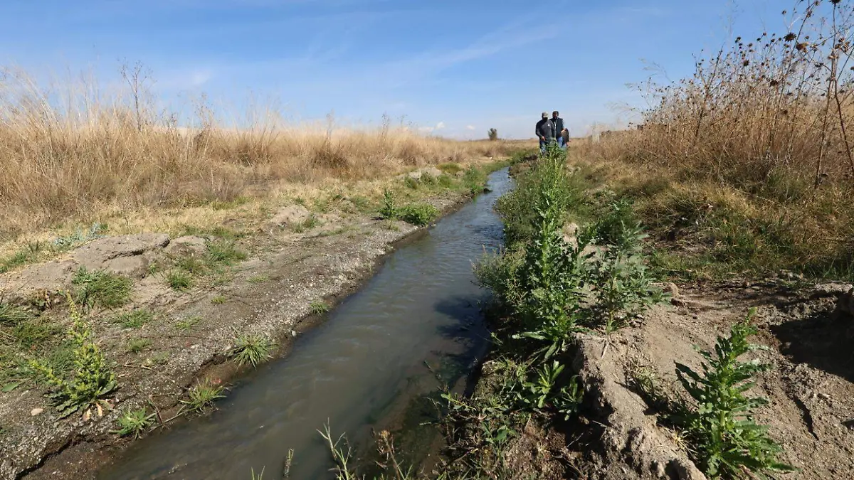 WhatsApp Image 2026-02-17 at 6.55.48 PM