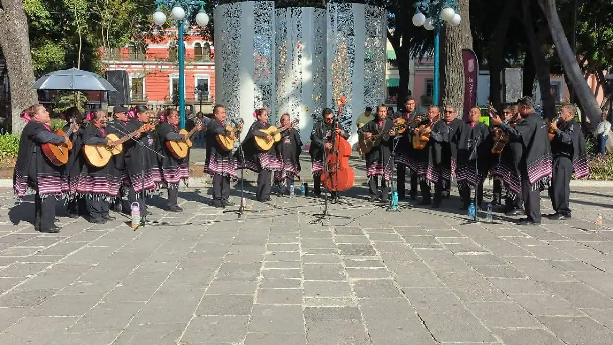 WhatsApp Image 2026-02-18 at 12.25.22 PM