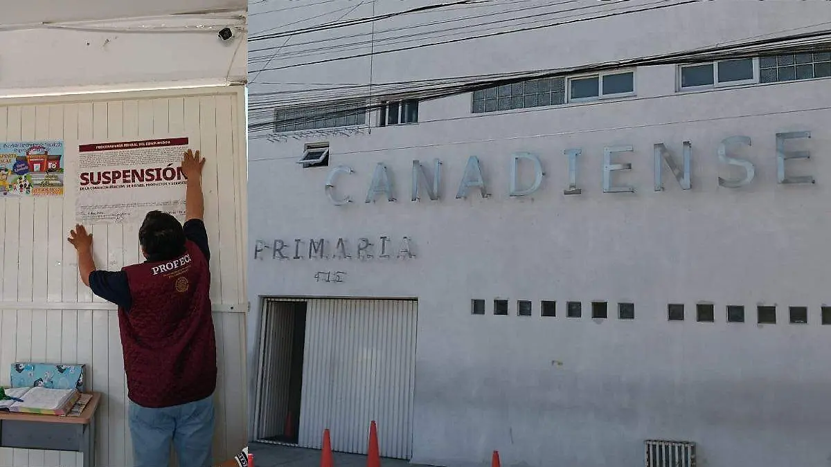 WhatsApp Image 2026-02-18 at 9.01.20 PM