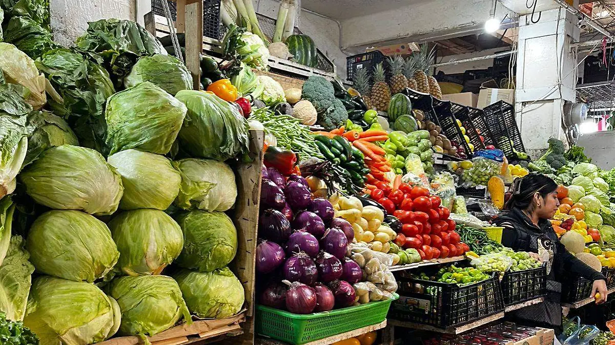 WhatsApp Image 2026-02-18 at 7.44.17 PM