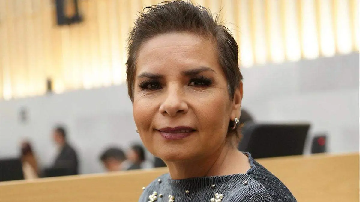 La otrora secretaria de Medio Ambiente señaló que en todas las construcciones la concesionaria debe entregar una Manifiestación de Impacto Ambiental (MIA)