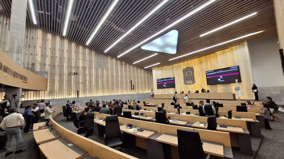 WhatsApp Image 2026-02-19 at 2.59.32 PM