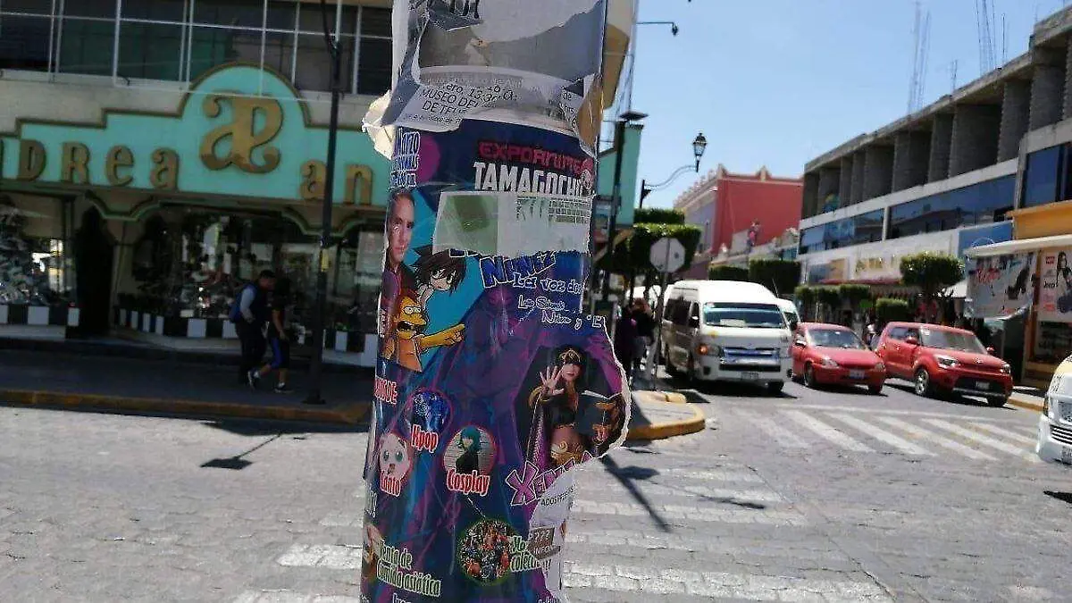 WhatsApp Image 2026-02-19 at 3.26.35 PM