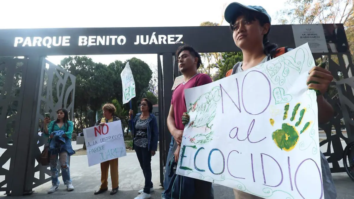 WhatsApp Image 2026-02-20 at 6.17.57 PM