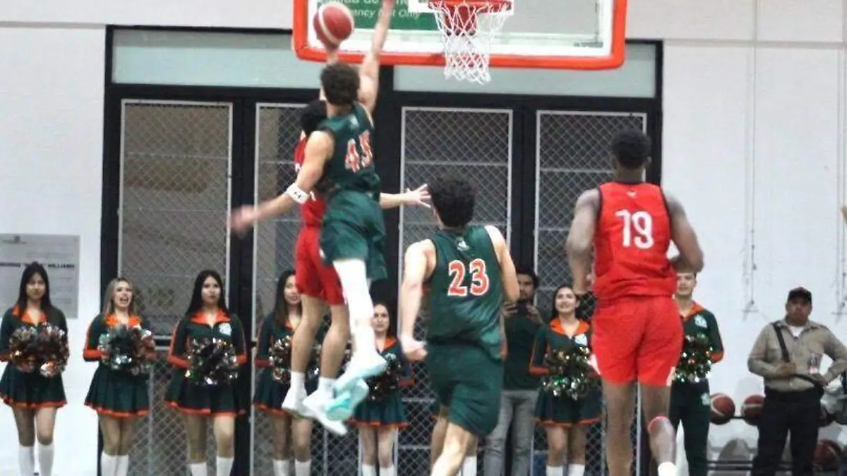 WhatsApp Image 2026-02-20 at 9.07.28 PM