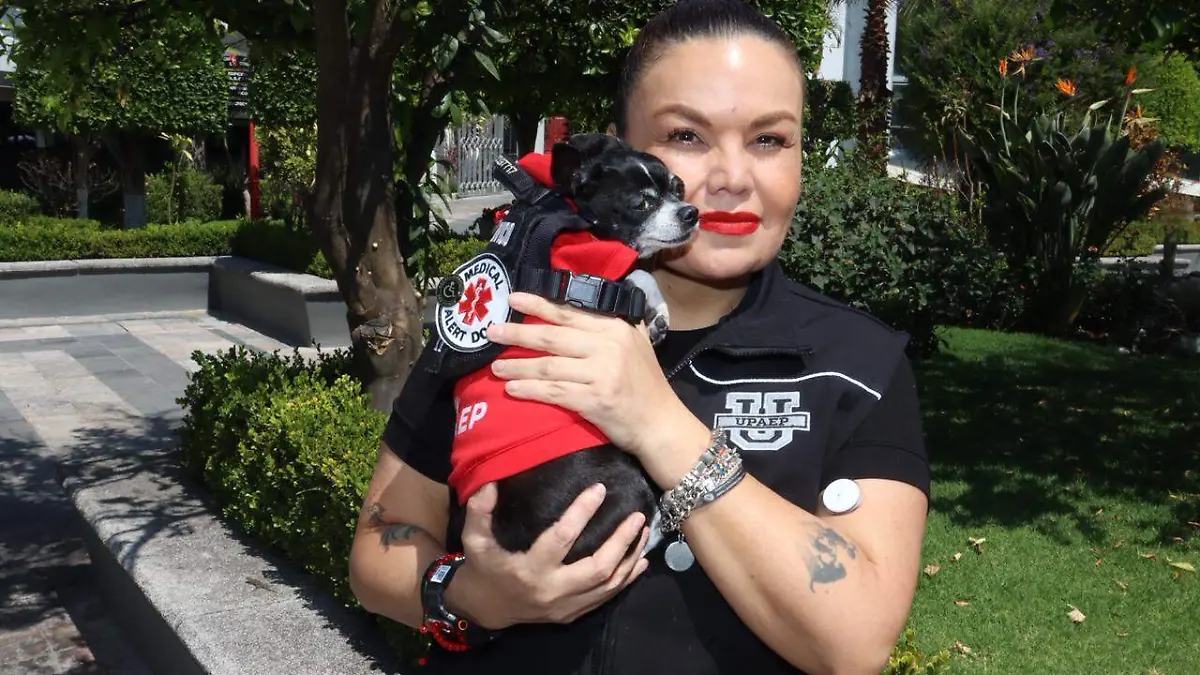 WhatsApp Image 2026-02-21 at 5.48.08 PM