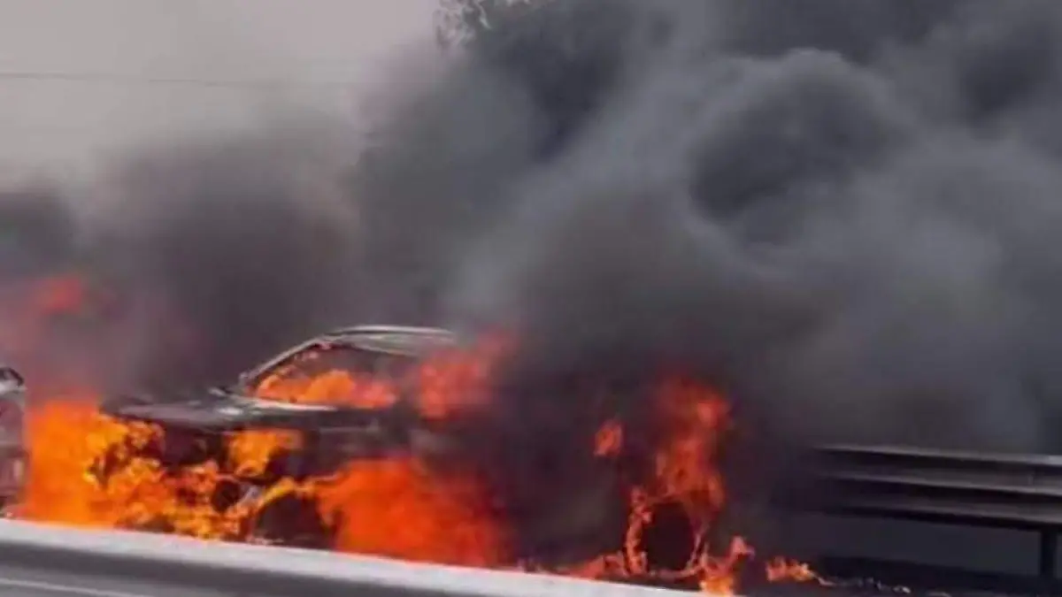 WhatsApp Image 2026-02-22 at 1.23.11 PM