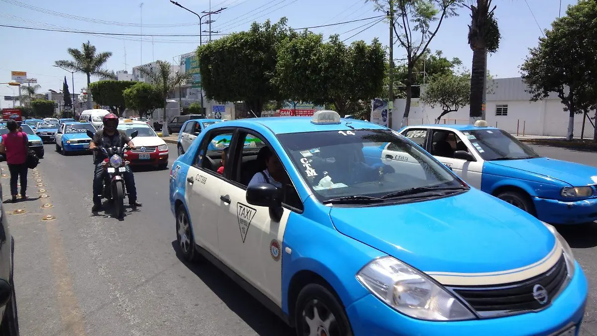 WhatsApp Image 2026-02-22 at 3.13.04 PM