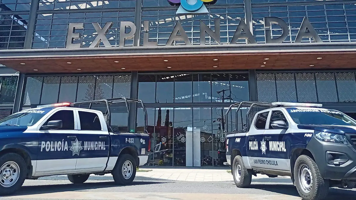 WhatsApp Image 2026-02-23 at 3.00.32 PM