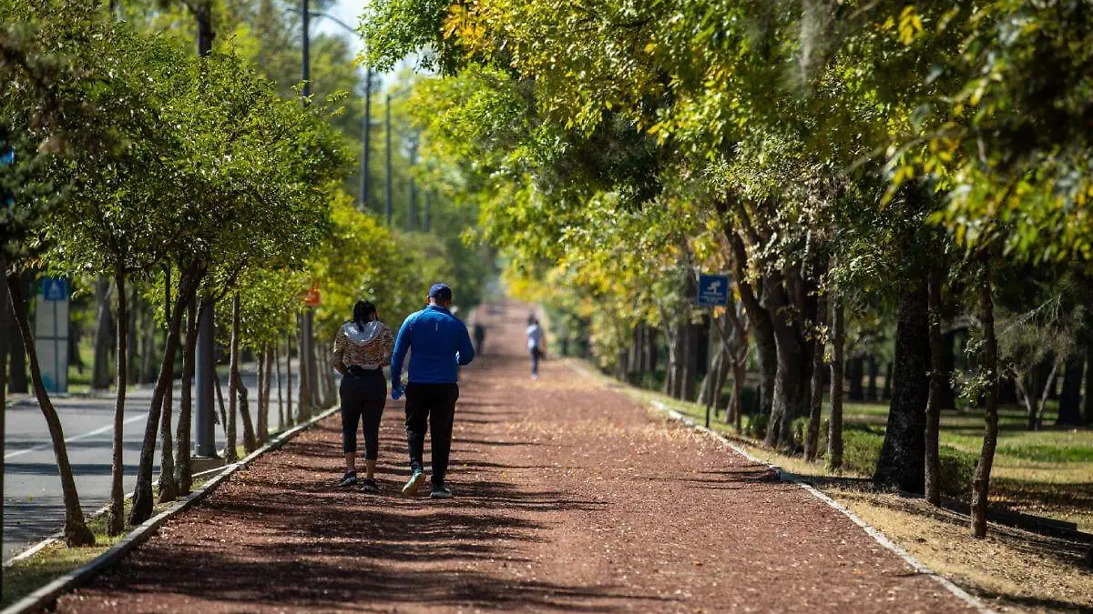 Personas corriendo en un parque