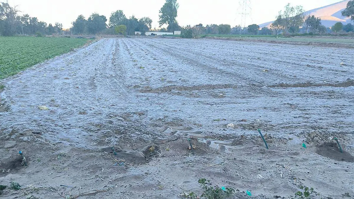 El fenómeno también alcanzó comunidades ubicadas en las faldas de La Malinche