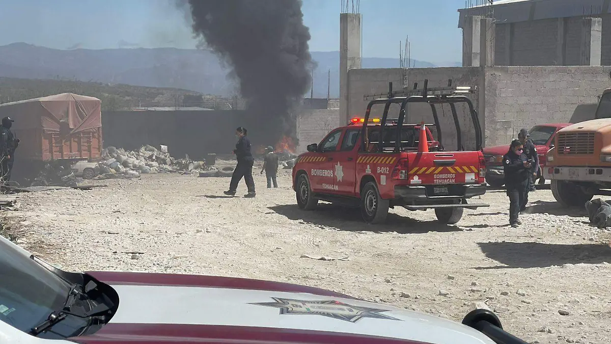 WhatsApp Image 2026-02-24 at 2.40.46 PM