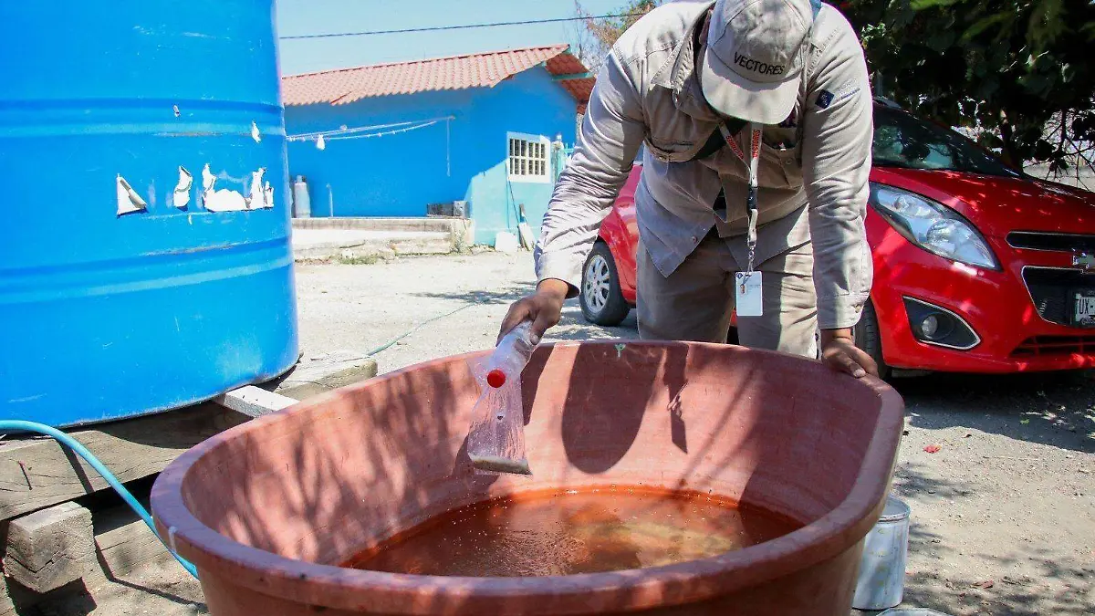 WhatsApp Image 2026-02-24 at 4.30.23 PM