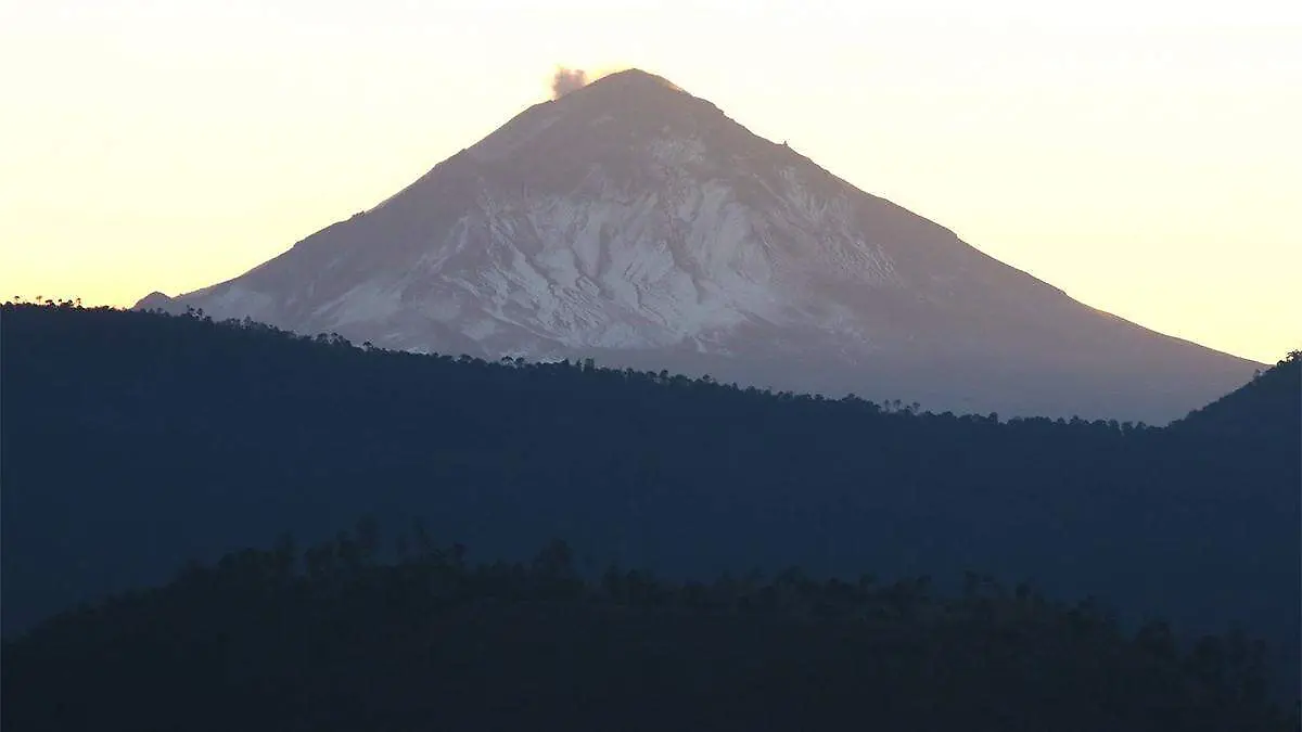 los productores con superficies de cereales, hortalizas, frutales, ornamentales y caducifolios recibirán hasta seis mil pesos por hectárea