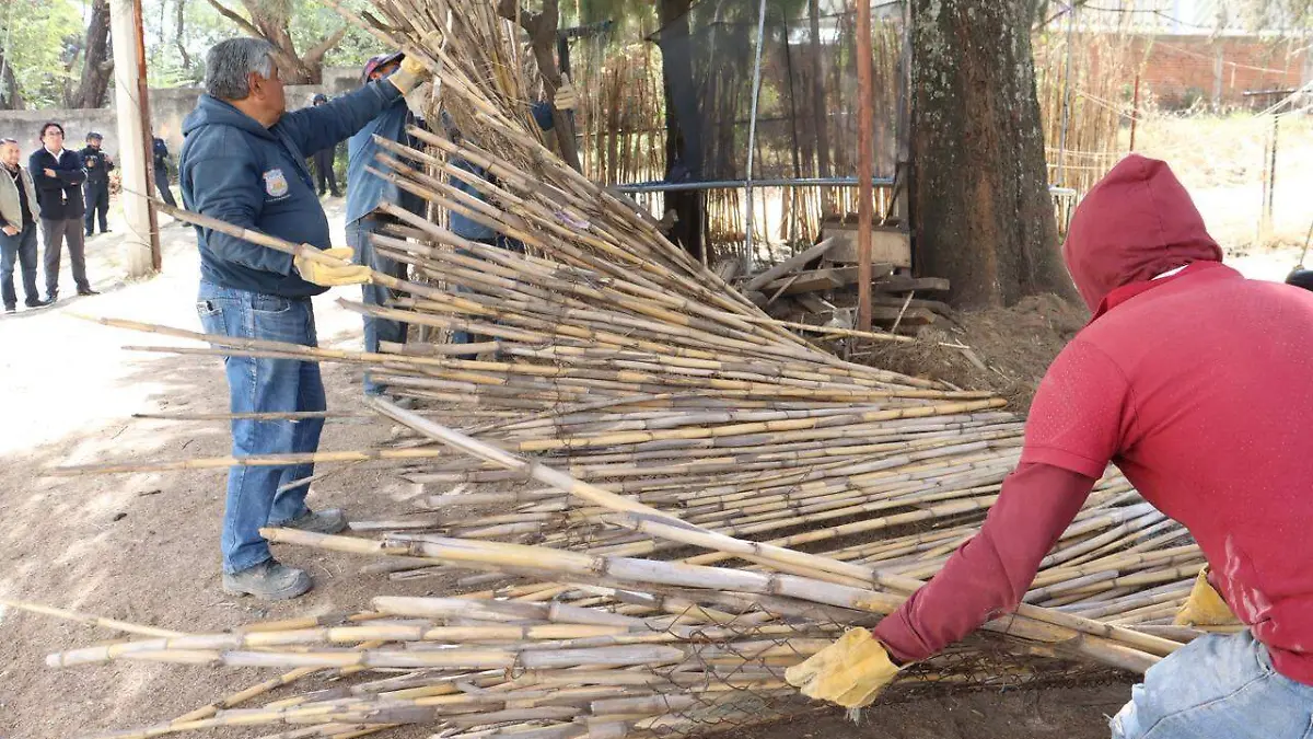 WhatsApp Image 2026-02-26 at 2.34.47 PM