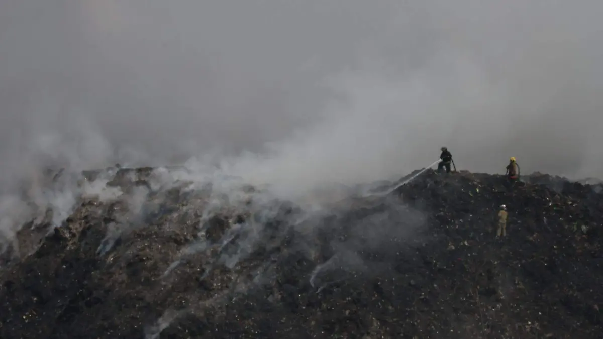 WhatsApp Image 2026-02-26 at 5.27.26 PM (7)