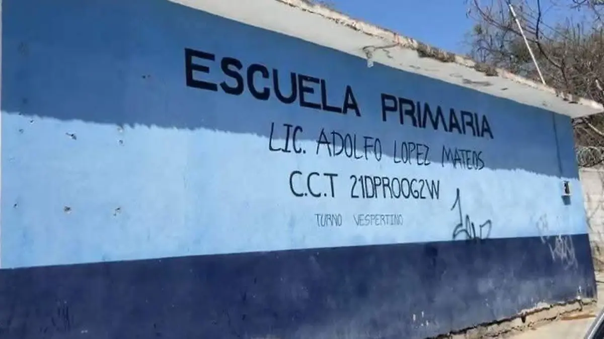 WhatsApp Image 2026-02-26 at 9.05.28 PM