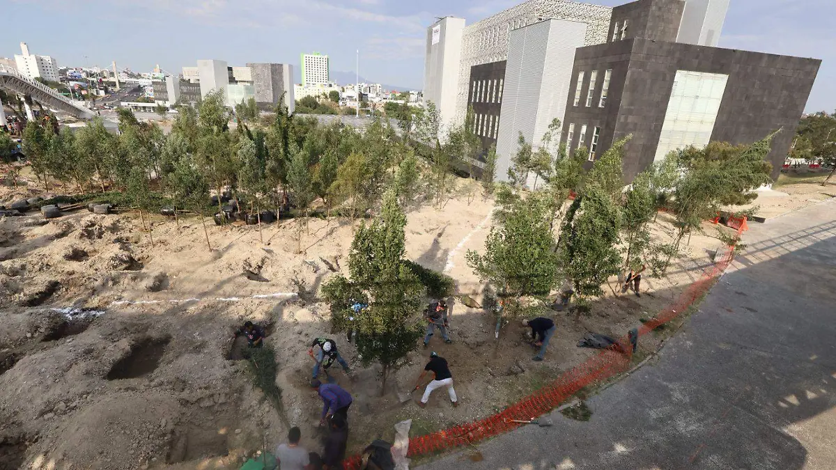 WhatsApp Image 2026-02-28 at 7.45.01 PM (1)