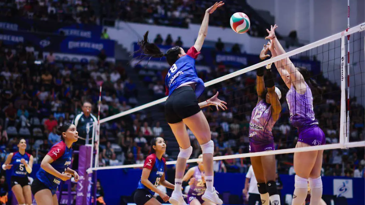 WhatsApp Image 2026-03-01 at 1.32.31 PM