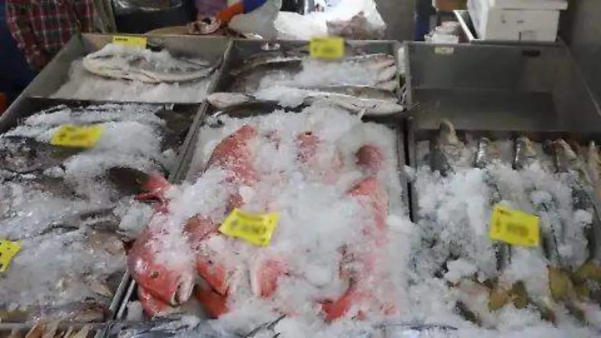 WhatsApp Image 2026-03-01 at 2.24.58 PM