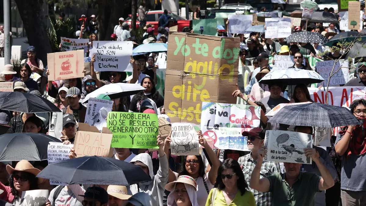 WhatsApp Image 2026-03-01 at 1.06.53 PM