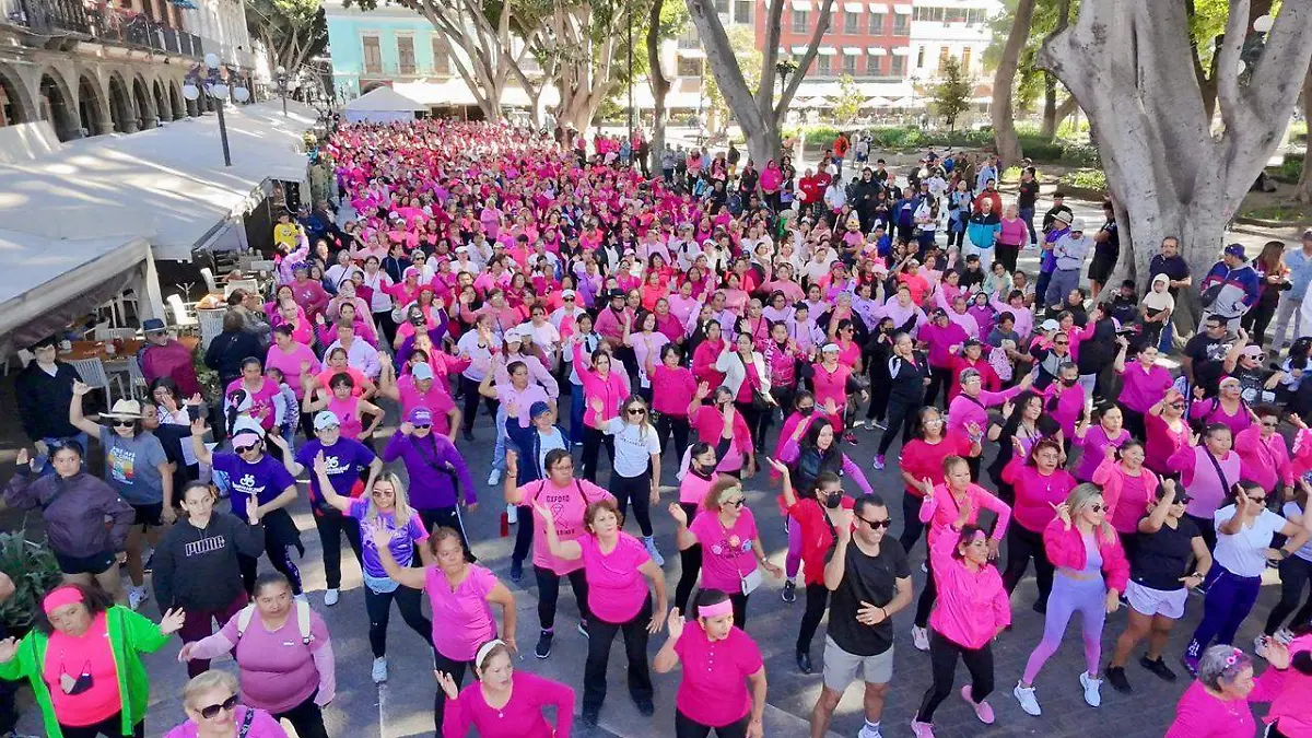 WhatsApp Image 2026-03-01 at 5.56.02 PM