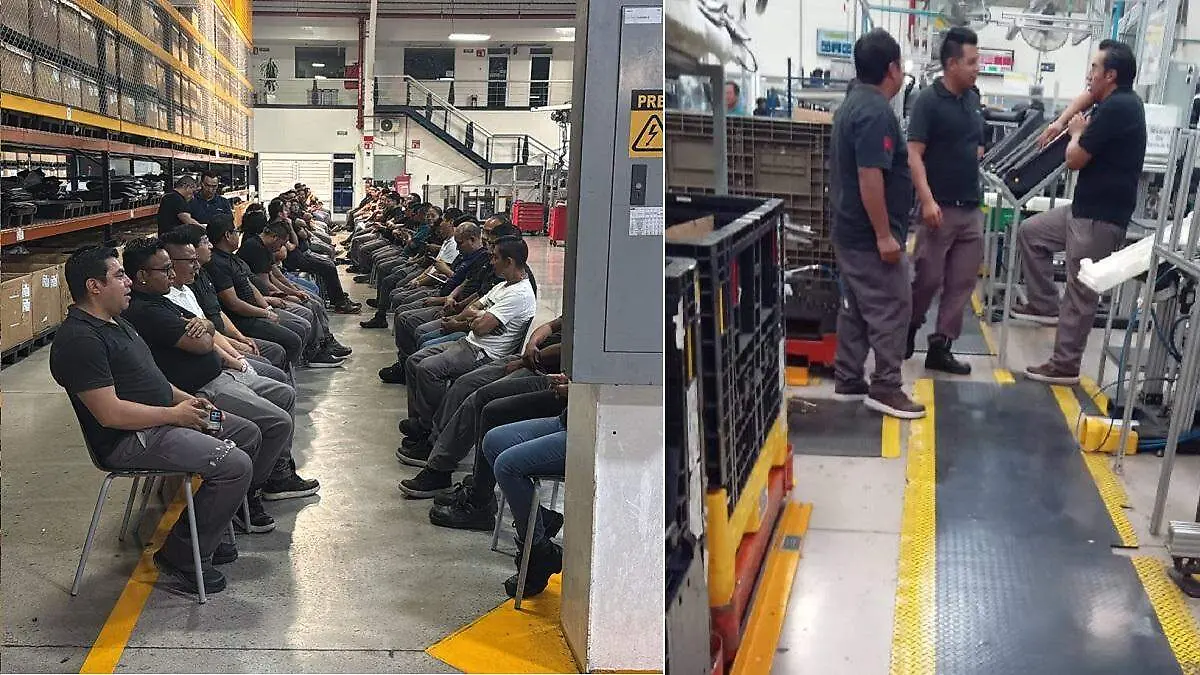 WhatsApp Image 2026-03-02 at 4.40.55 PM (1)