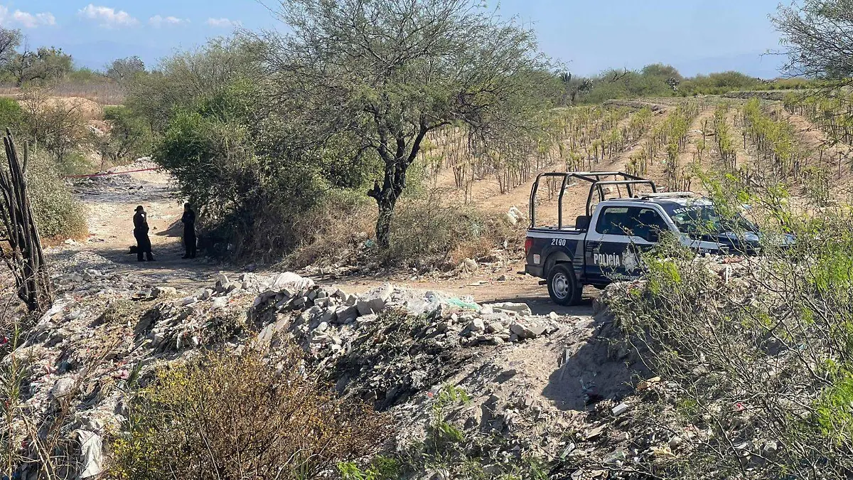 WhatsApp Image 2026-03-02 at 5.56.27 PM