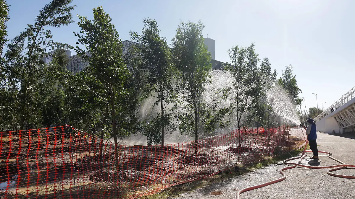 WhatsApp Image 2026-03-01 at 9.58.10 AM