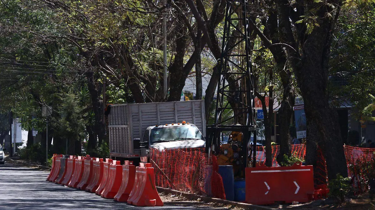 WhatsApp Image 2026-02-24 at 12.57.53 PM