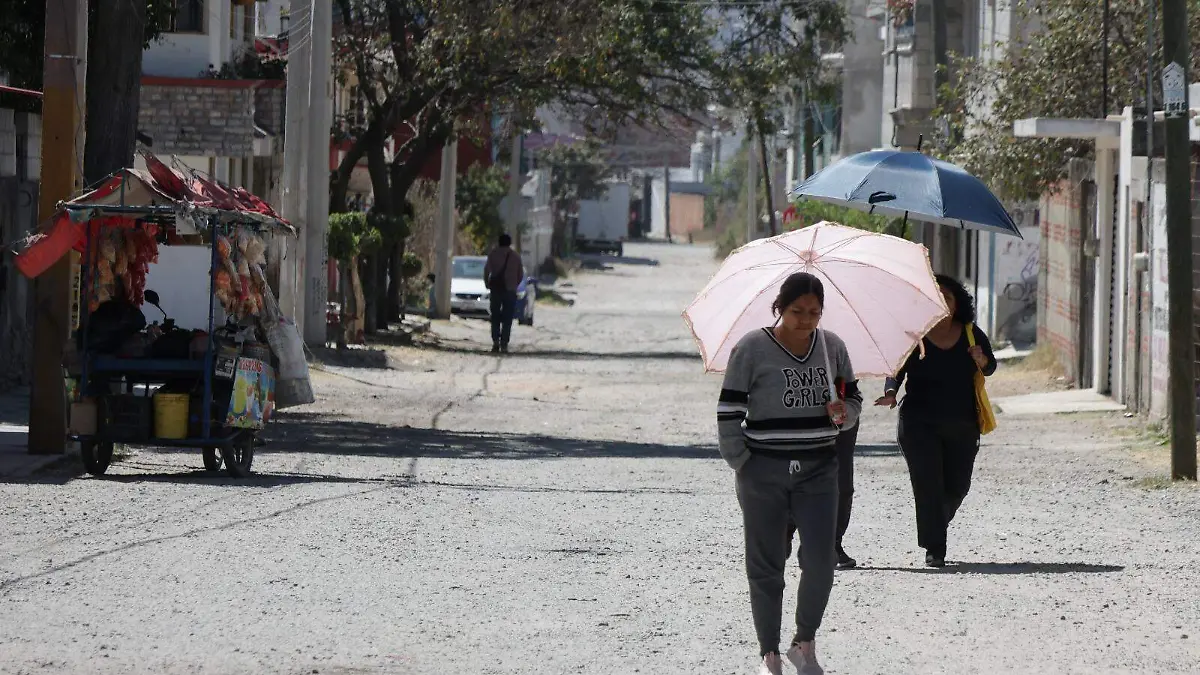 WhatsApp Image 2026-03-04 at 8.36.03 PM