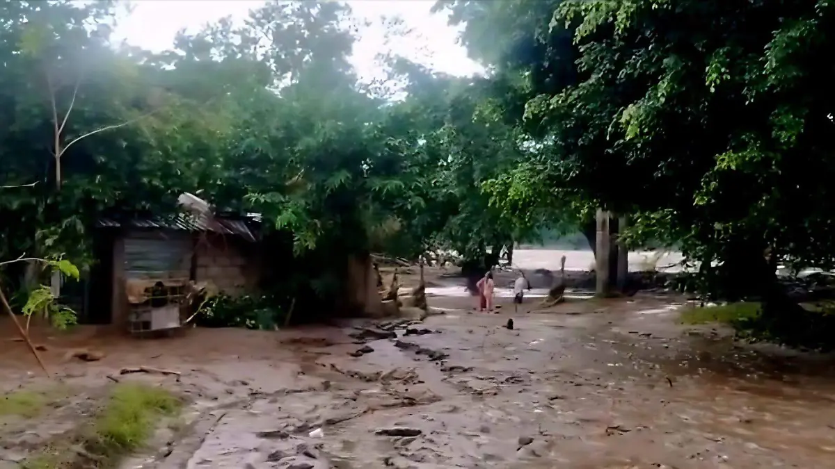 WhatsApp Image 2026-03-05 at 5.08.23 PM